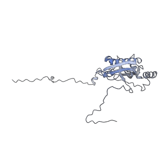 4370_6gb2_Bi_v1-2
Unique features of mammalian mitochondrial translation initiation revealed by cryo-EM. This file contains the 39S ribosomal subunit.
