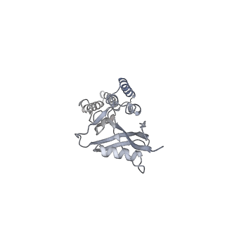 4370_6gb2_Bj_v1-2
Unique features of mammalian mitochondrial translation initiation revealed by cryo-EM. This file contains the 39S ribosomal subunit.