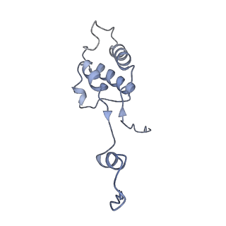 4370_6gb2_Bm_v1-2
Unique features of mammalian mitochondrial translation initiation revealed by cryo-EM. This file contains the 39S ribosomal subunit.