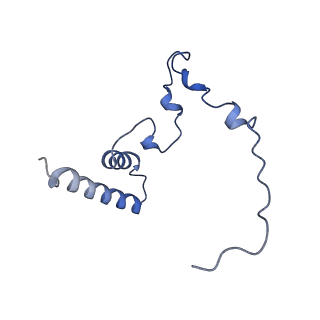 4370_6gb2_Bn_v1-2
Unique features of mammalian mitochondrial translation initiation revealed by cryo-EM. This file contains the 39S ribosomal subunit.