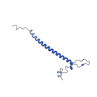 4370_6gb2_Bo_v1-2
Unique features of mammalian mitochondrial translation initiation revealed by cryo-EM. This file contains the 39S ribosomal subunit.