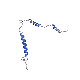 4370_6gb2_Bt_v1-2
Unique features of mammalian mitochondrial translation initiation revealed by cryo-EM. This file contains the 39S ribosomal subunit.