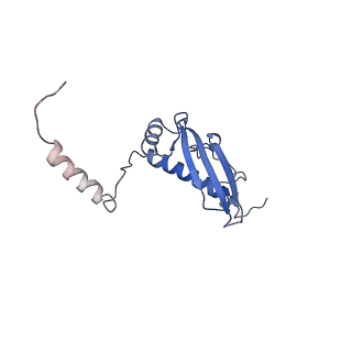 4370_6gb2_Bu_v1-2
Unique features of mammalian mitochondrial translation initiation revealed by cryo-EM. This file contains the 39S ribosomal subunit.