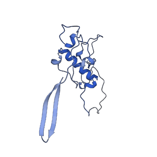 4370_6gb2_Bx_v1-2
Unique features of mammalian mitochondrial translation initiation revealed by cryo-EM. This file contains the 39S ribosomal subunit.