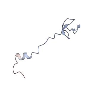 4378_6gbz_0_v1-1
50S ribosomal subunit assembly intermediate state 5