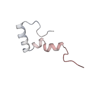 4378_6gbz_2_v1-1
50S ribosomal subunit assembly intermediate state 5