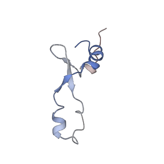 4378_6gbz_3_v1-1
50S ribosomal subunit assembly intermediate state 5