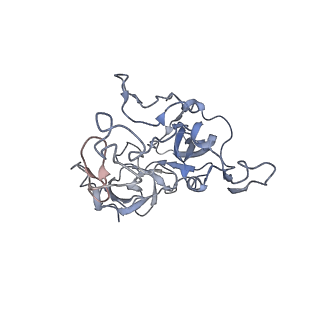 4378_6gbz_C_v1-1
50S ribosomal subunit assembly intermediate state 5
