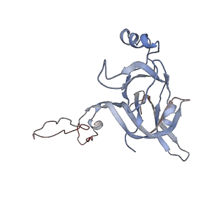 4378_6gbz_D_v1-1
50S ribosomal subunit assembly intermediate state 5