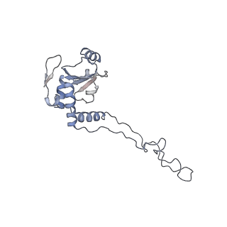 4378_6gbz_E_v1-1
50S ribosomal subunit assembly intermediate state 5