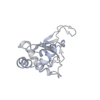 4378_6gbz_F_v1-1
50S ribosomal subunit assembly intermediate state 5