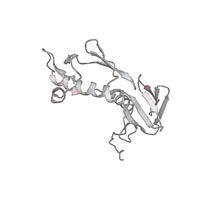 4378_6gbz_G_v1-1
50S ribosomal subunit assembly intermediate state 5