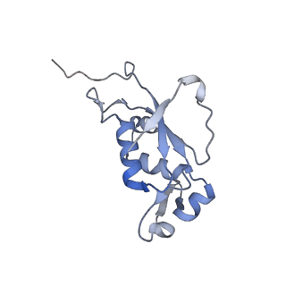 4378_6gbz_J_v1-1
50S ribosomal subunit assembly intermediate state 5