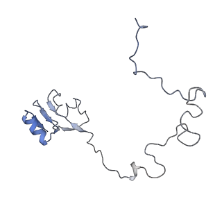 4378_6gbz_L_v1-1
50S ribosomal subunit assembly intermediate state 5