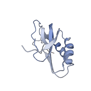 4378_6gbz_M_v1-1
50S ribosomal subunit assembly intermediate state 5