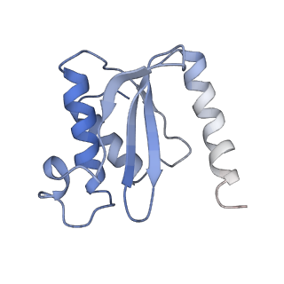 4378_6gbz_O_v1-1
50S ribosomal subunit assembly intermediate state 5