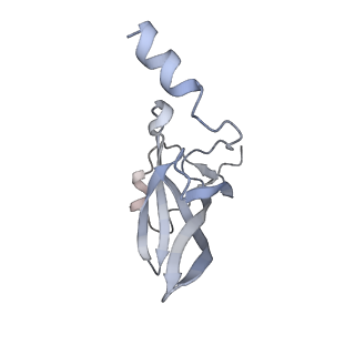 4378_6gbz_P_v1-1
50S ribosomal subunit assembly intermediate state 5