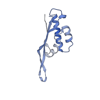 4378_6gbz_S_v1-1
50S ribosomal subunit assembly intermediate state 5