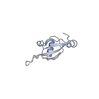 4378_6gbz_T_v1-1
50S ribosomal subunit assembly intermediate state 5