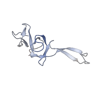 4378_6gbz_U_v1-1
50S ribosomal subunit assembly intermediate state 5