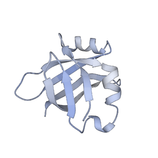 4378_6gbz_V_v1-1
50S ribosomal subunit assembly intermediate state 5