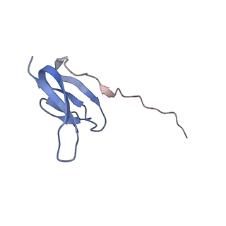 4378_6gbz_W_v1-1
50S ribosomal subunit assembly intermediate state 5