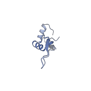 4378_6gbz_X_v1-1
50S ribosomal subunit assembly intermediate state 5