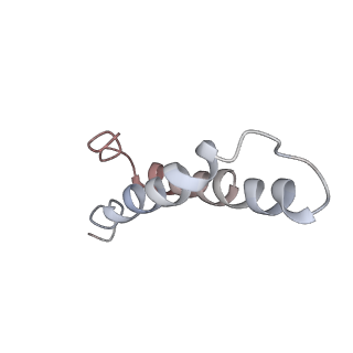 4378_6gbz_Y_v1-1
50S ribosomal subunit assembly intermediate state 5