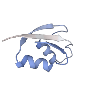 4378_6gbz_Z_v1-1
50S ribosomal subunit assembly intermediate state 5