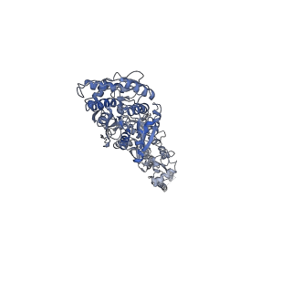 29926_8gc2_A_v1-0
Domoate-bound GluK2 kainate receptor in partially-open conformation 1