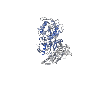 29926_8gc2_B_v1-0
Domoate-bound GluK2 kainate receptor in partially-open conformation 1