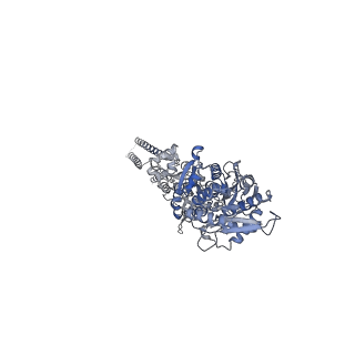 29926_8gc2_C_v1-0
Domoate-bound GluK2 kainate receptor in partially-open conformation 1