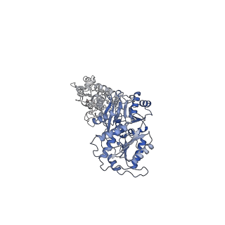 29926_8gc2_D_v1-0
Domoate-bound GluK2 kainate receptor in partially-open conformation 1