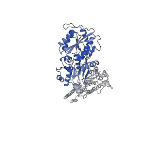 29927_8gc3_B_v1-0
Domote-bound GluK2 kainate receptors in partially-open conformation 2