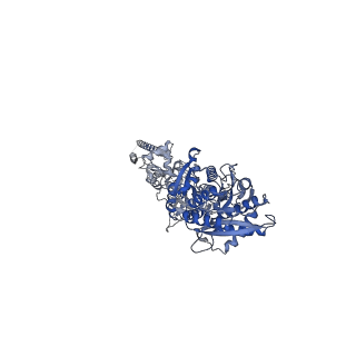 29927_8gc3_C_v1-0
Domote-bound GluK2 kainate receptors in partially-open conformation 2