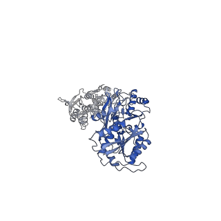 29927_8gc3_D_v1-0
Domote-bound GluK2 kainate receptors in partially-open conformation 2