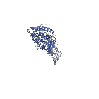 29928_8gc4_A_v1-0
Domoate-bound GluK2 kainate receptor in partially-open conformation 3