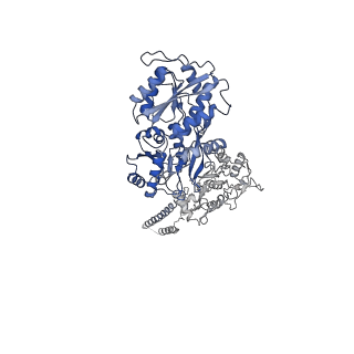 29928_8gc4_B_v1-0
Domoate-bound GluK2 kainate receptor in partially-open conformation 3