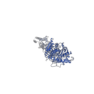 29928_8gc4_C_v1-0
Domoate-bound GluK2 kainate receptor in partially-open conformation 3