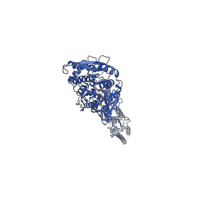 29929_8gc5_A_v1-0
Domoate-bound GluK2 kainate receptors in non-active conformation