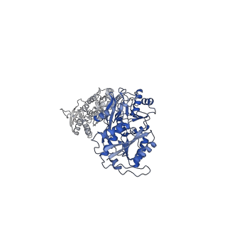 29929_8gc5_D_v1-0
Domoate-bound GluK2 kainate receptors in non-active conformation