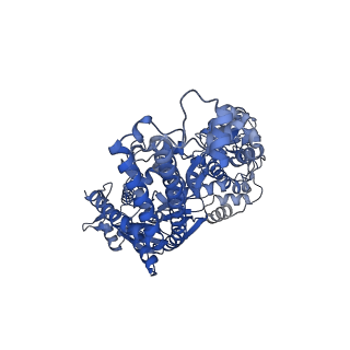29930_8gcc_A_v1-0
T. cruzi topoisomerase II alpha bound to dsDNA and the covalent inhibitor CT1
