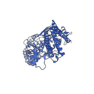 29930_8gcc_B_v1-0
T. cruzi topoisomerase II alpha bound to dsDNA and the covalent inhibitor CT1