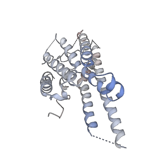 29935_8gcm_R_v1-1
Cryo-EM Structure of the Prostaglandin E Receptor EP4 Coupled to G Protein