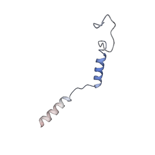 29940_8gcp_C_v1-1
Cryo-EM Structure of the Prostaglandin E2 Receptor 4 Coupled to G Protein
