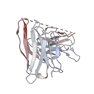 29940_8gcp_E_v1-1
Cryo-EM Structure of the Prostaglandin E2 Receptor 4 Coupled to G Protein