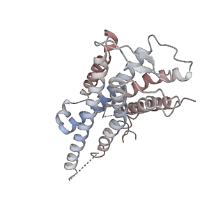 29940_8gcp_R_v1-1
Cryo-EM Structure of the Prostaglandin E2 Receptor 4 Coupled to G Protein