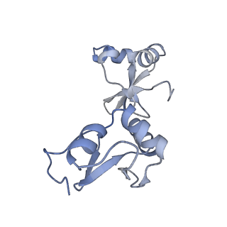 29941_8gcr_A_v1-0
HPV16 E6-E6AP-p53 complex