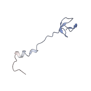 4379_6gc0_0_v1-1
50S ribosomal subunit assembly intermediate state 4