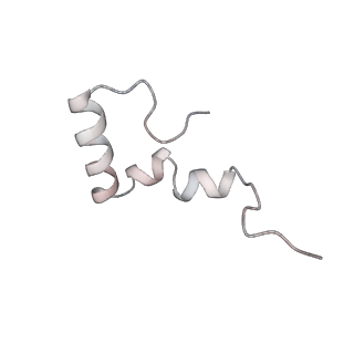 4379_6gc0_2_v1-1
50S ribosomal subunit assembly intermediate state 4